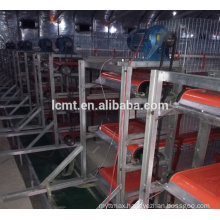 high quality factory price poultry equipment for broiler manure remove